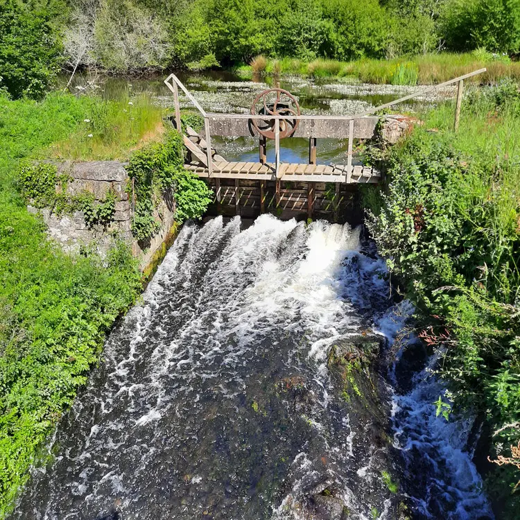 ©Centre-Morbihan-Communauté_circuit-la-grée---cours-d-eau-claieplumelec-(5)