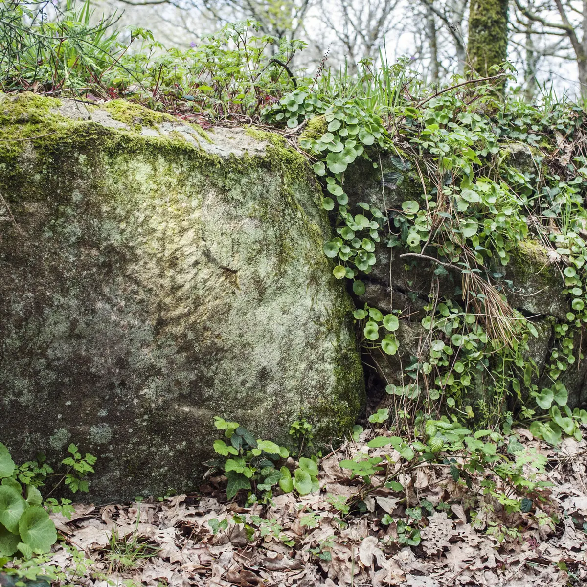 _DSC3451 copie.jpg_compressed