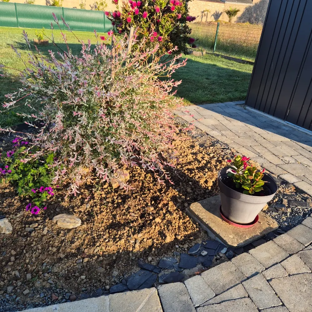 056MS000169_Saupin_20250530_074512