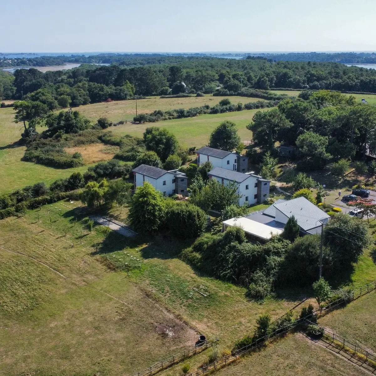 056MS000344_Madec_domaine