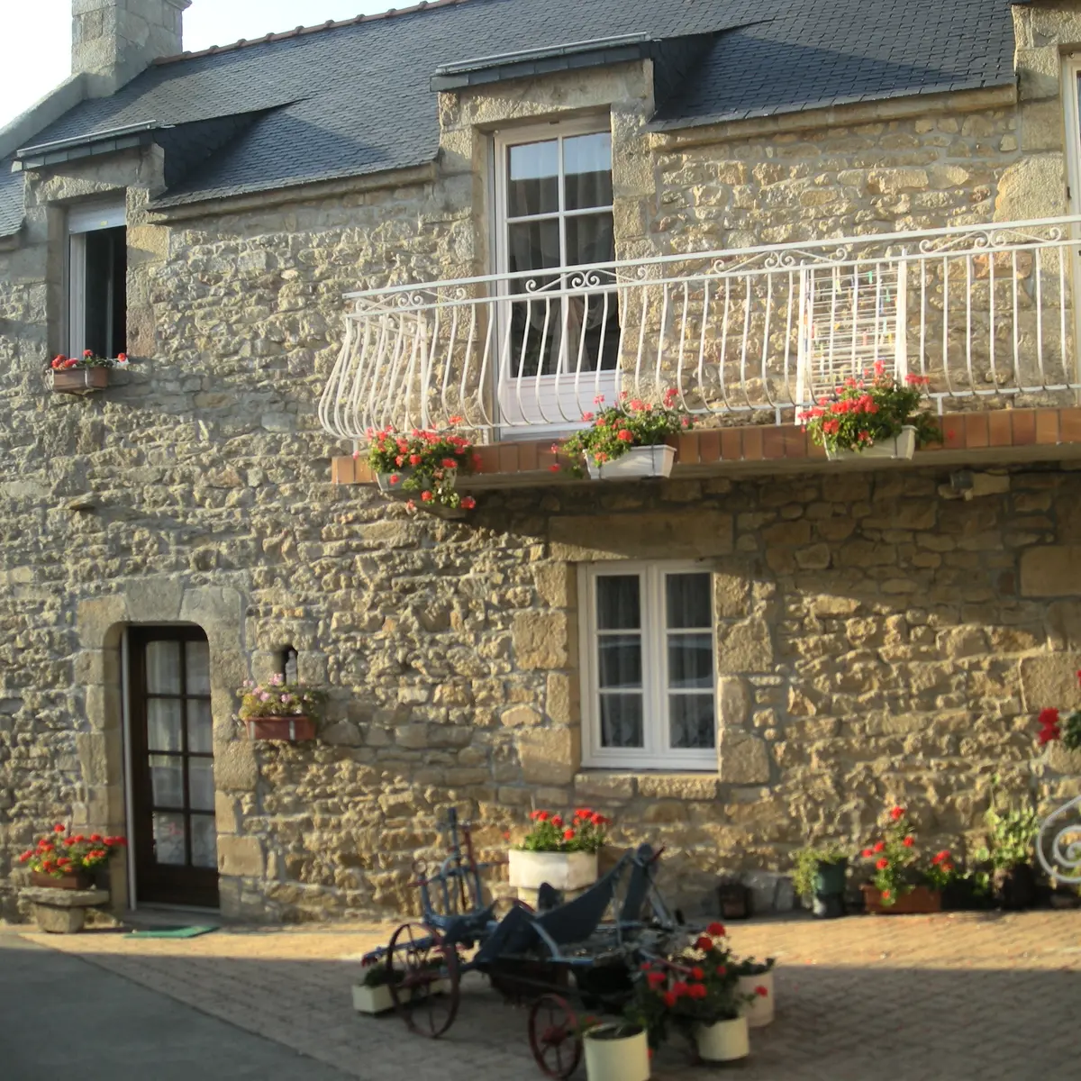 056MS000490_Rollando_DSCN3259