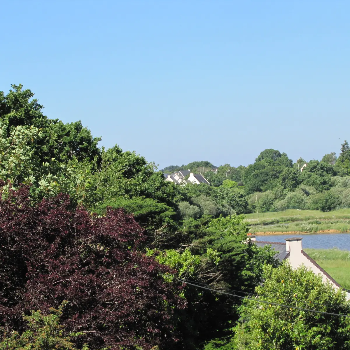 056MS000507_JUDE_IMG_6646