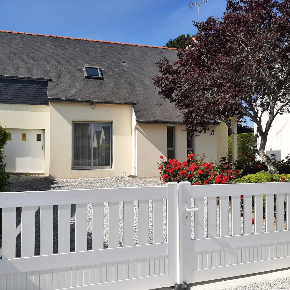 056MS0089_David bernard_Maison côté Rue