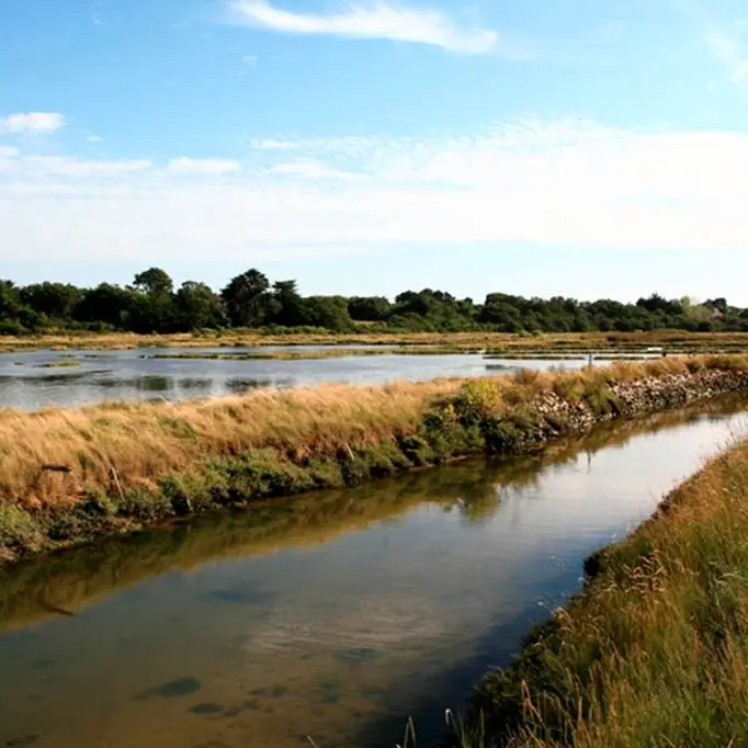 Marais du Hézo - Morbihan Bretagne Sud