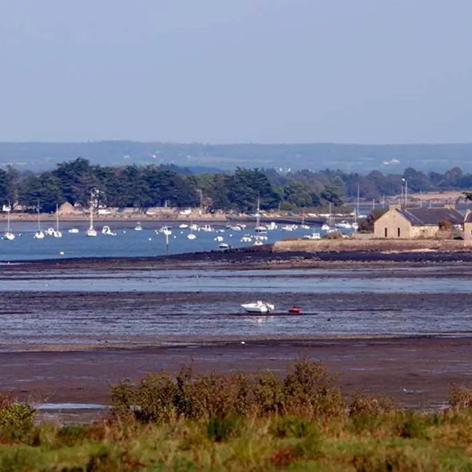 Marais du Hézo - Morbihan Bretagne Sud