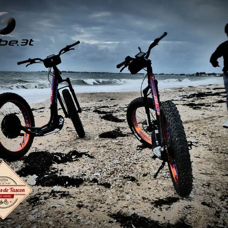 Les-Cycles-de-Tascon-Saint-Armel-Presqu'île-de-Rhuys-Golfe-du-Morbihan-Bretagne sud