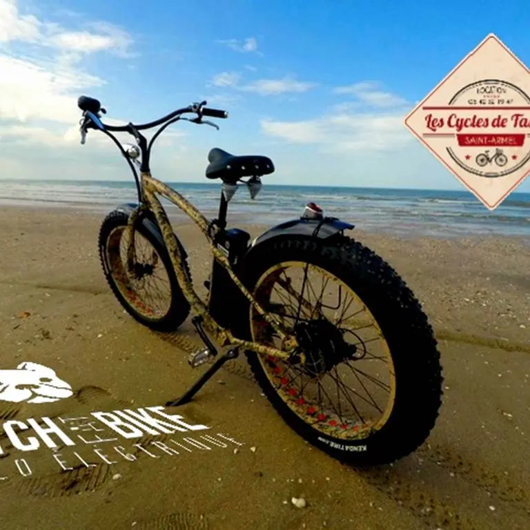 Les-Cycles-de-Tascon-Saint-Armel-Presqu'île-de-Rhuys-Golfe-du-Morbihan-Bretagne sud