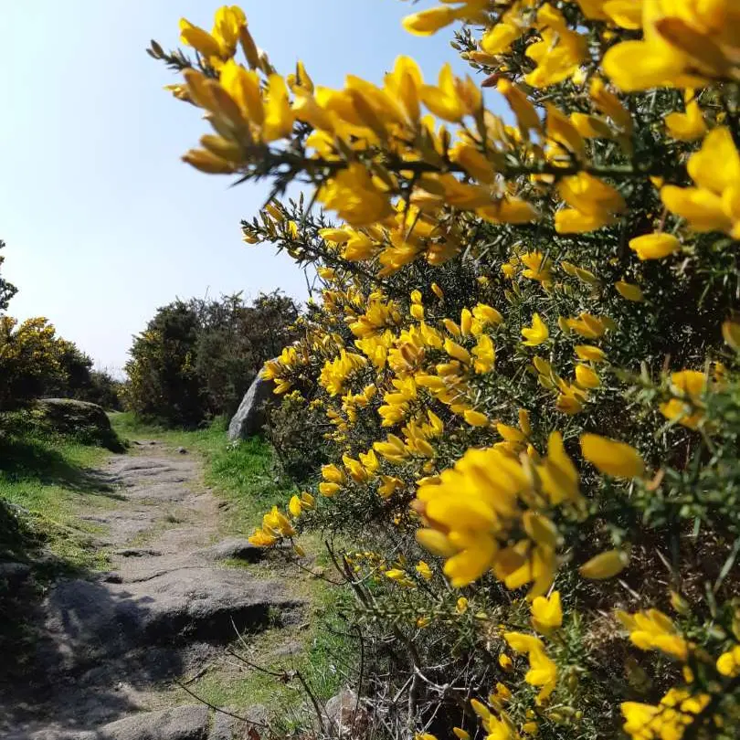 Circuit du manéguen