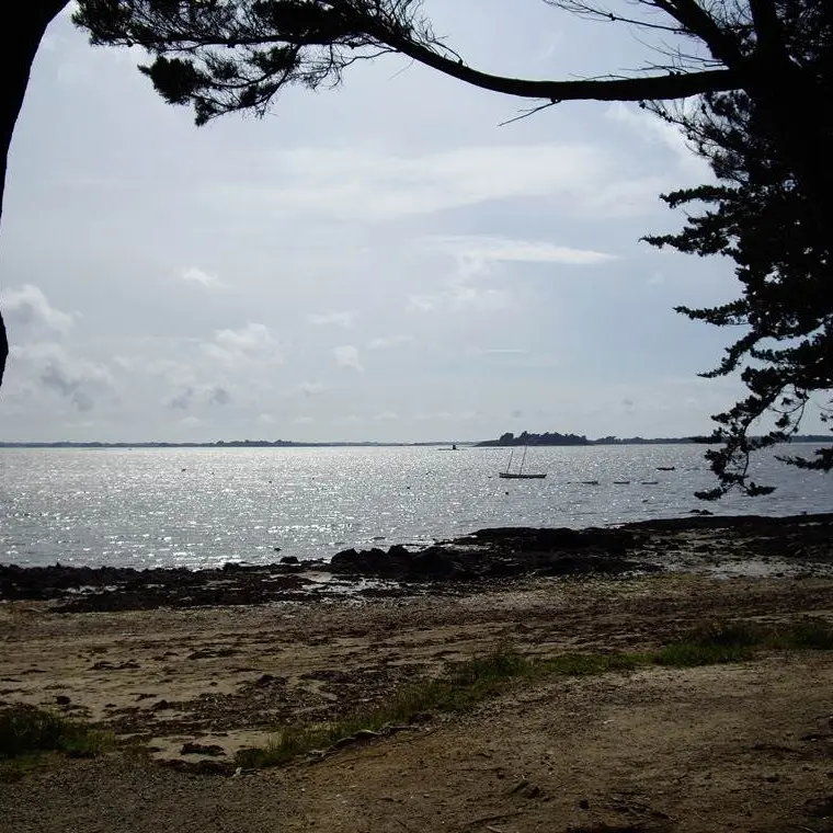 Pointe du Bill - Ile de Boëde - Séné - Morbihan Bretagne sud