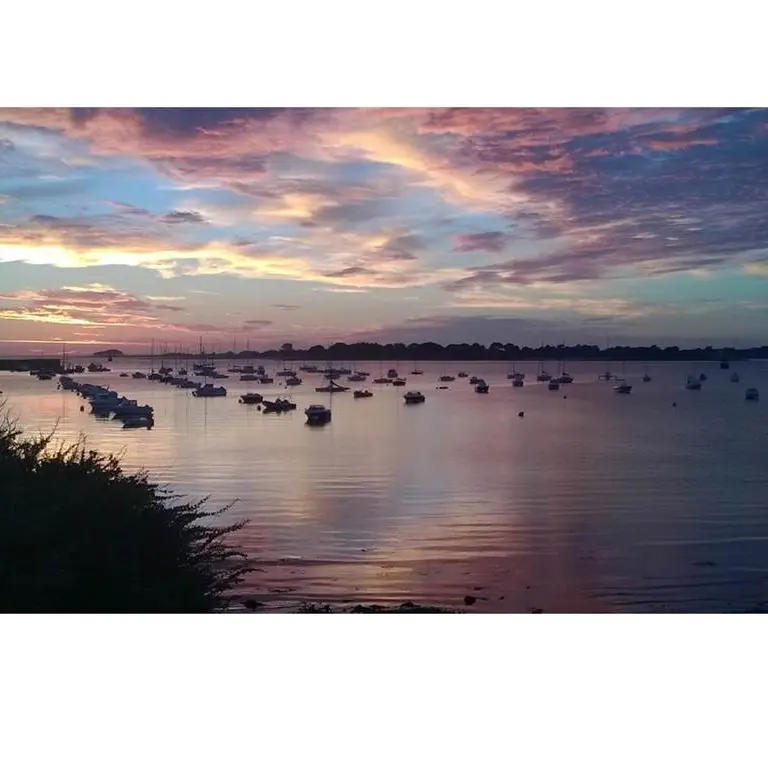 Restaurant-Le-Marin-Arzon-Prequ'île-de-Rhuys-Golfe-du-Morbihan-Bretagne sud