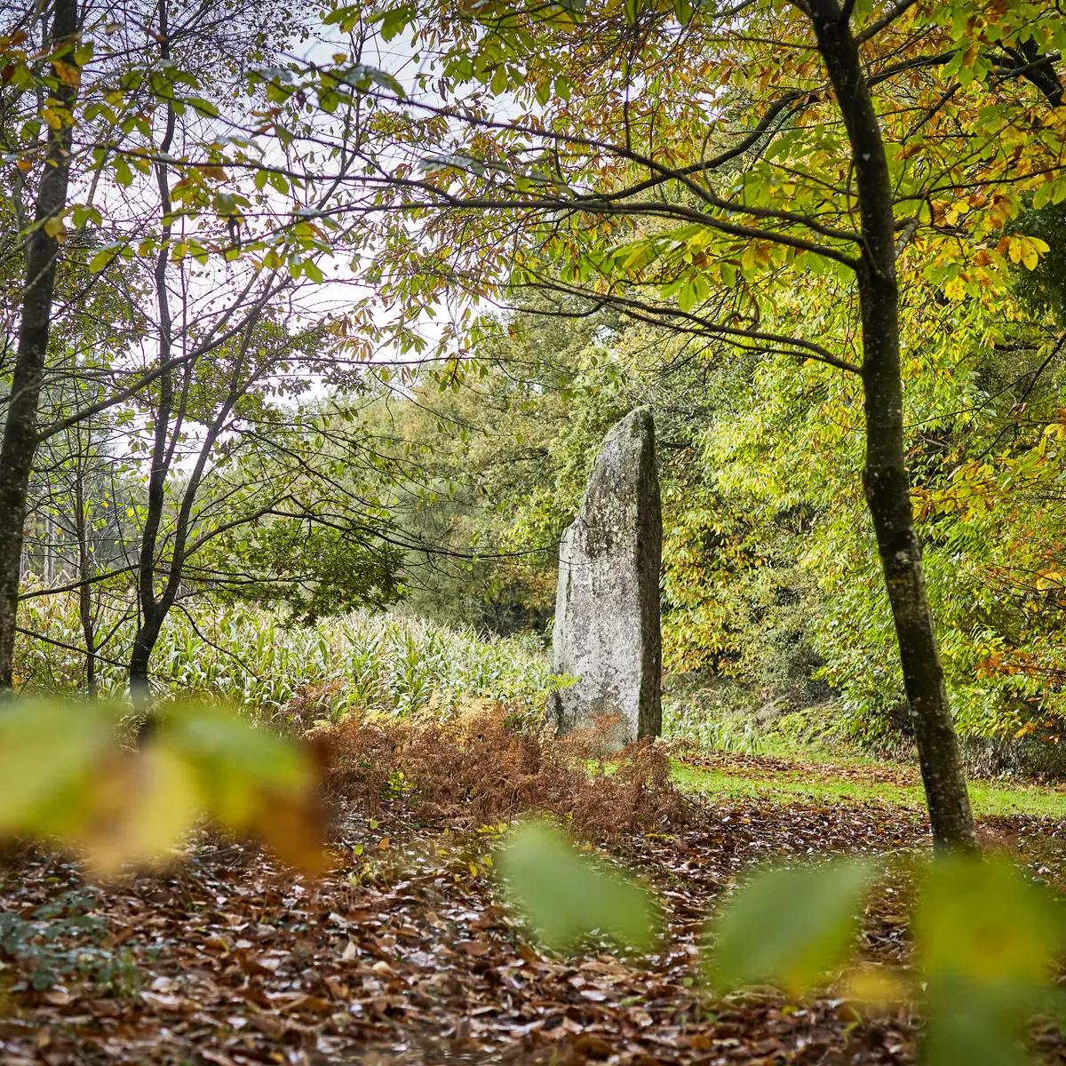 CMC19@alamoureux_MG_7788