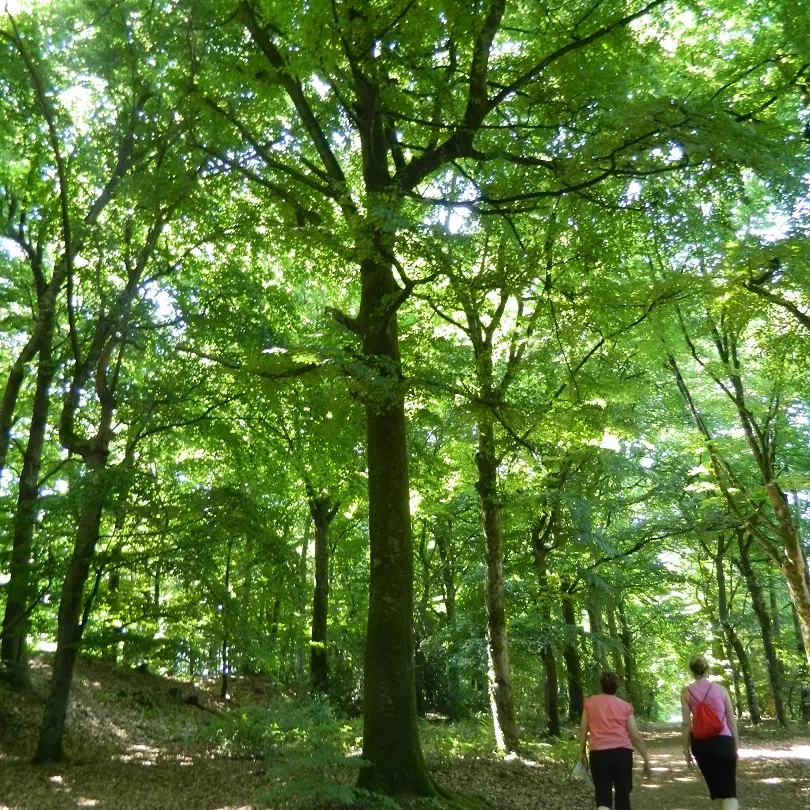 Circuit des 9 écluses