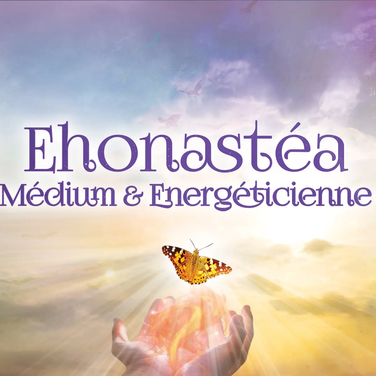 EhonasteaQuiberon1