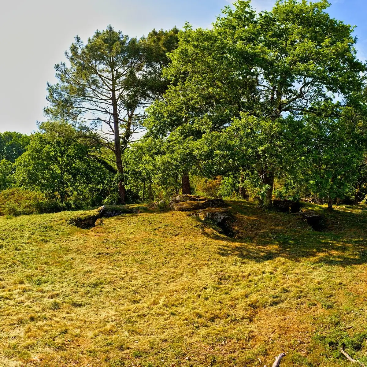 LA TRINITE SUR MER -Kervilor - Mané Bras (16) panorama_bd.jpg_compressed
