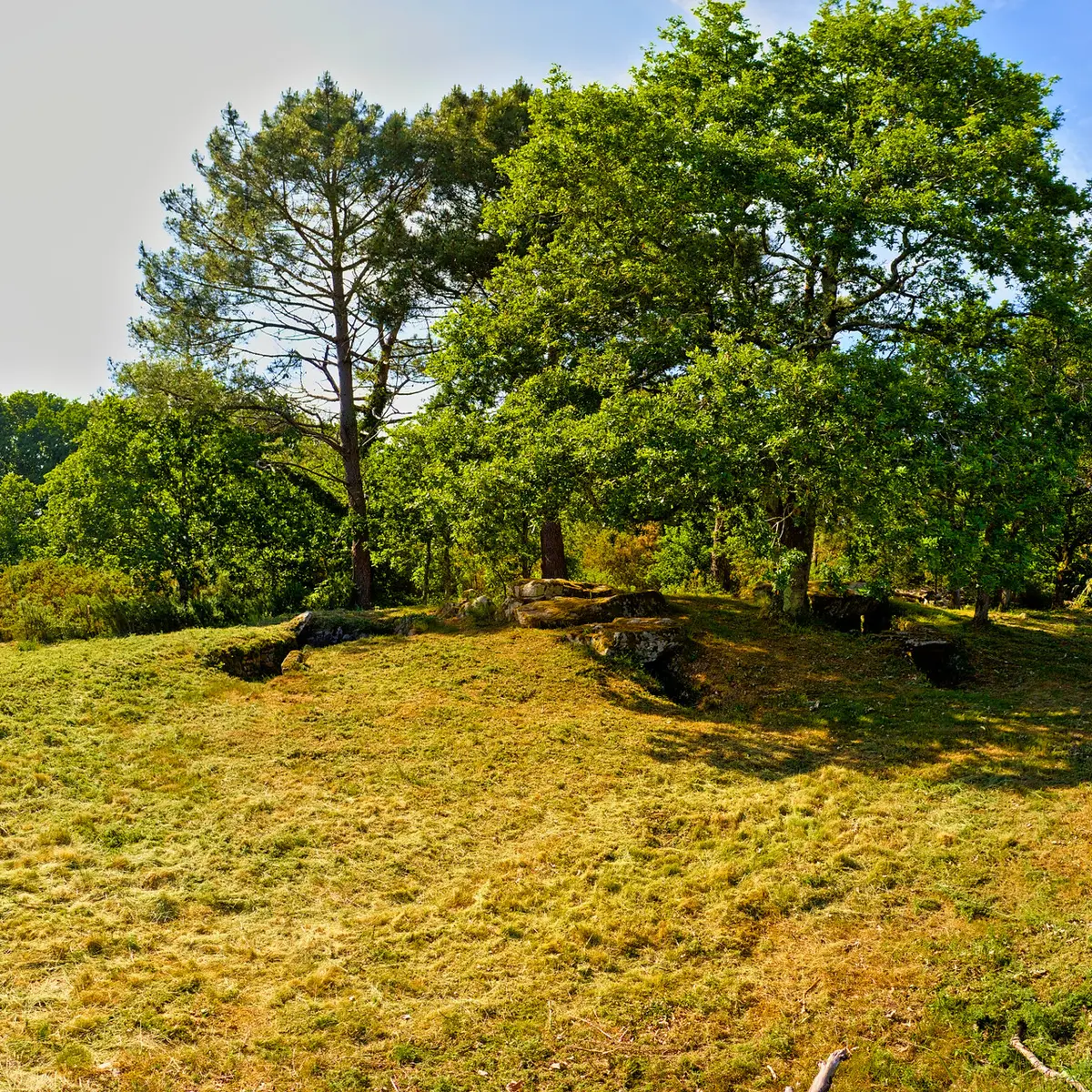 LA TRINITE SUR MER -Kervilor - Mané Bras (16) panorama.jpg_compressed