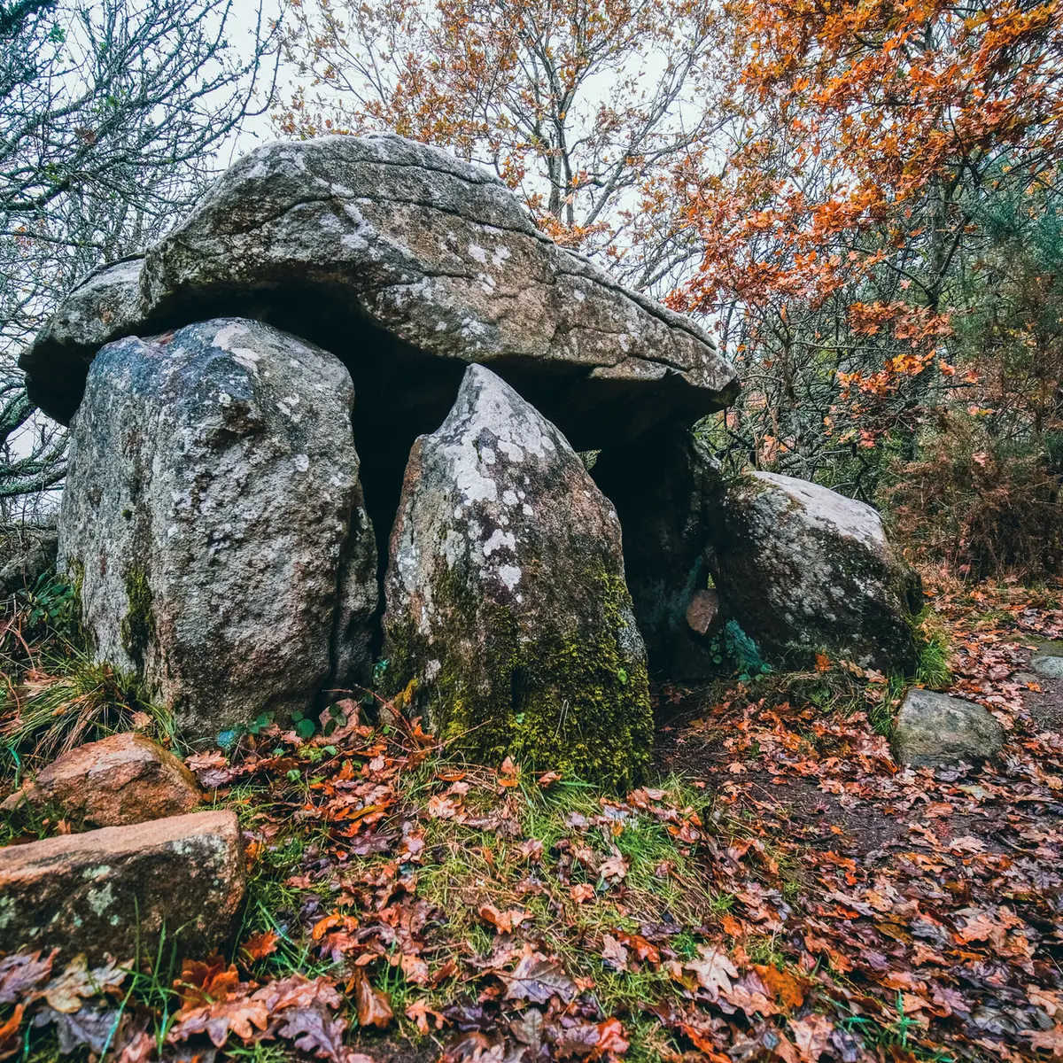 Locmariaquer - Zulaan - 020.jpg_compressed