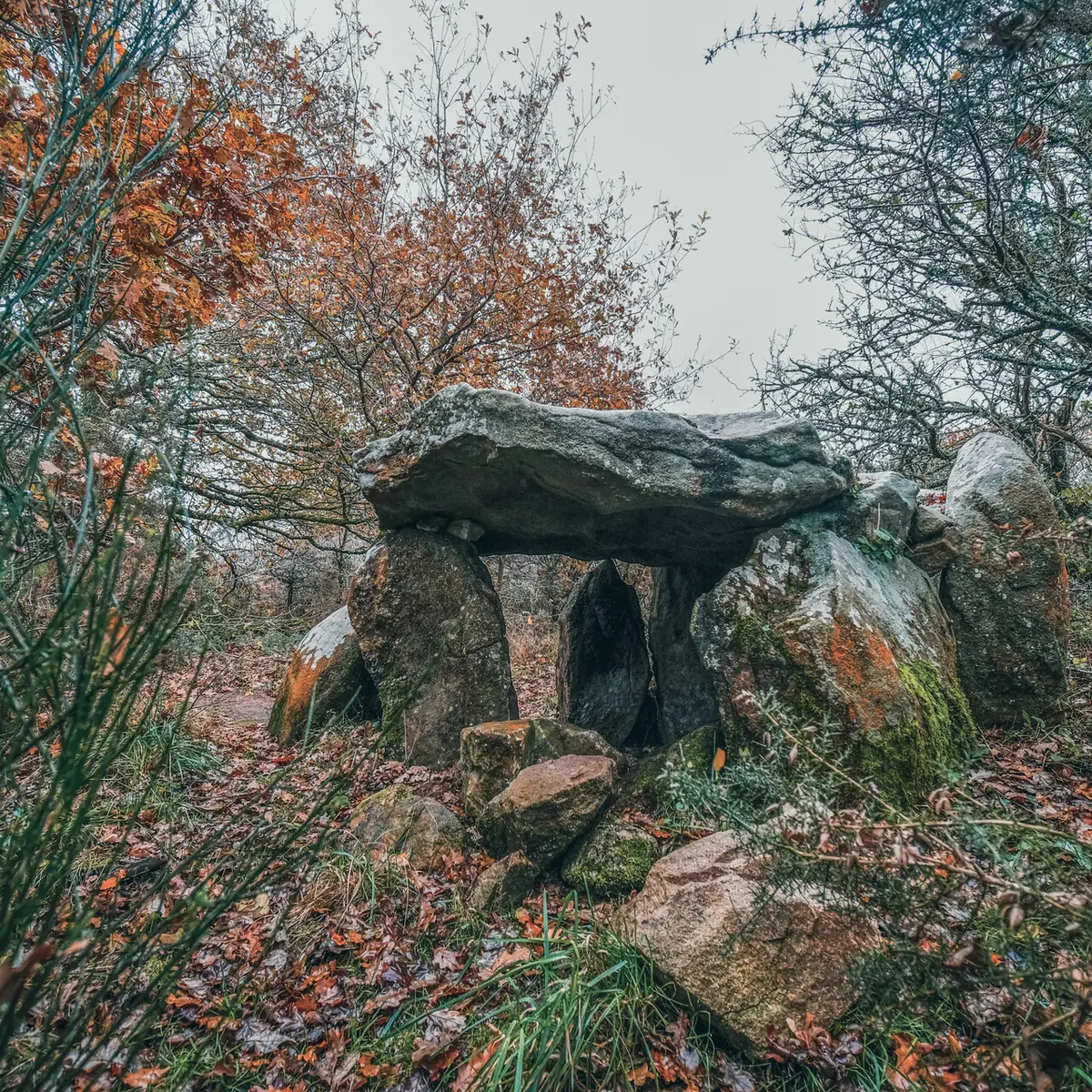 Locmariaquer - Zulaan - 025.jpg_compressed