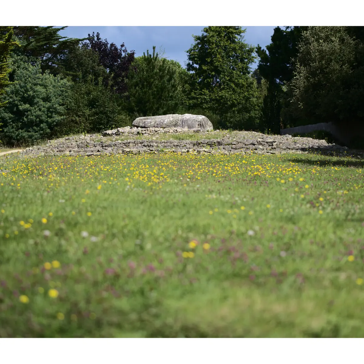 Locmariaquer - Zulaan - 052.jpg_compressed