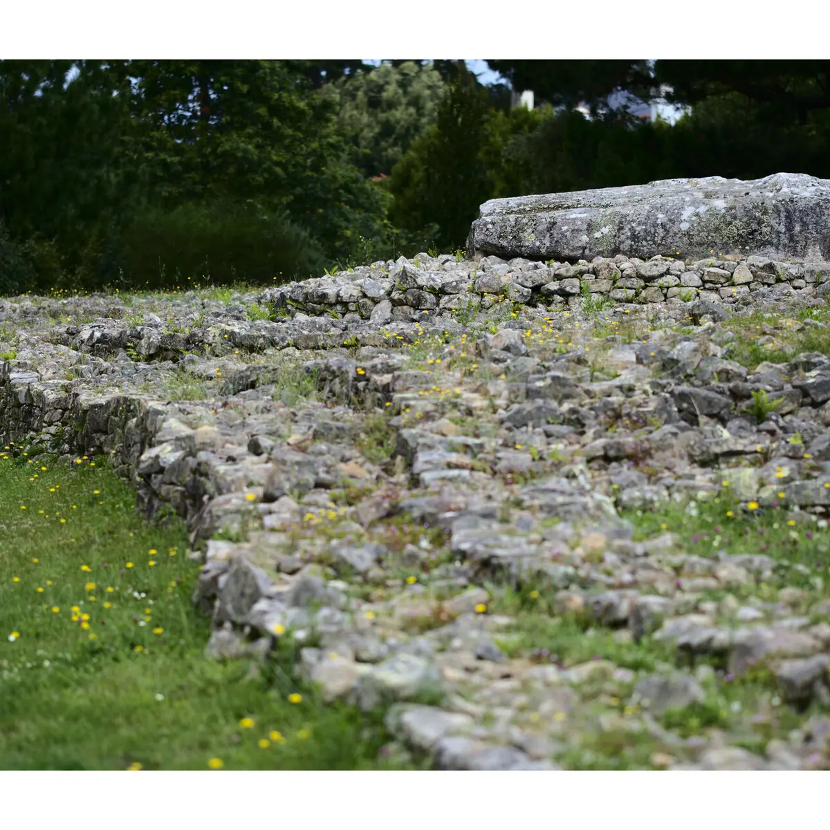 Locmariaquer - Zulaan - 058.jpg_compressed