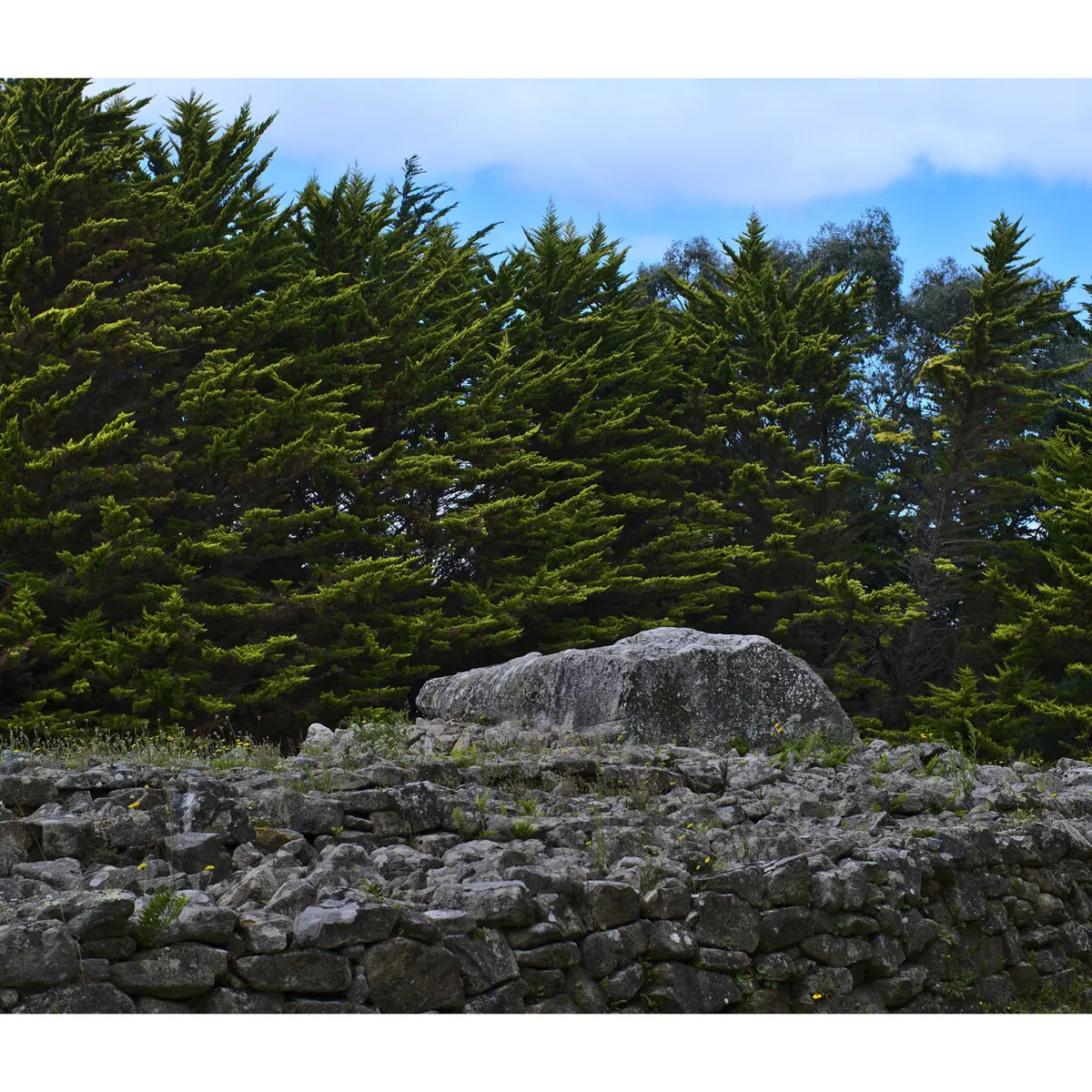 Locmariaquer - Zulaan - 063.jpg_compressed