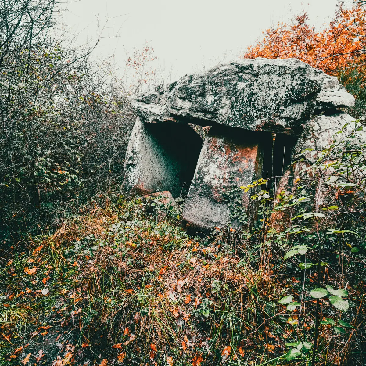 Locmariaquer - Zulaan - 069.jpg_compressed