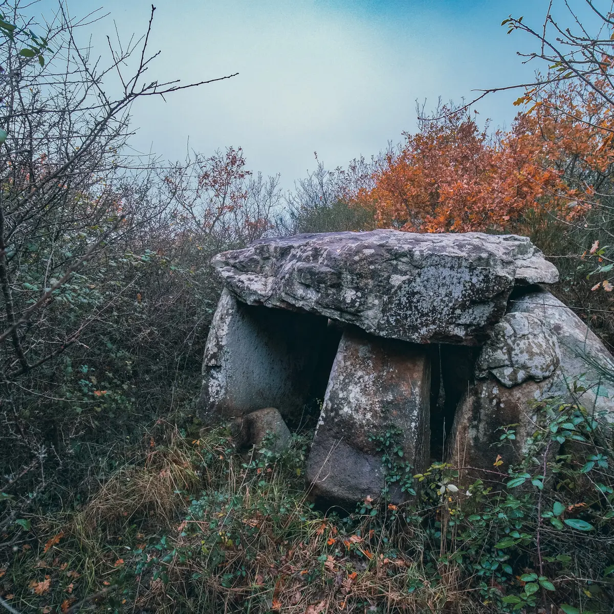 Locmariaquer - Zulaan - 070.jpg_compressed