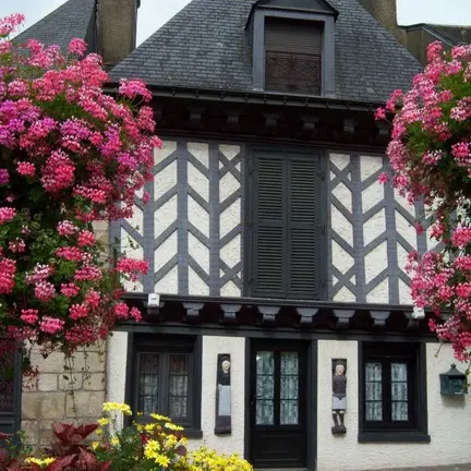 Maisons en torchis et à pans de bois à Locminé