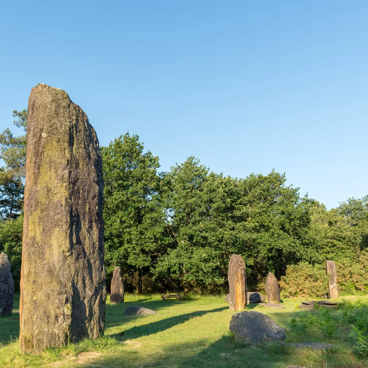 Menhirs de Monteneuf
