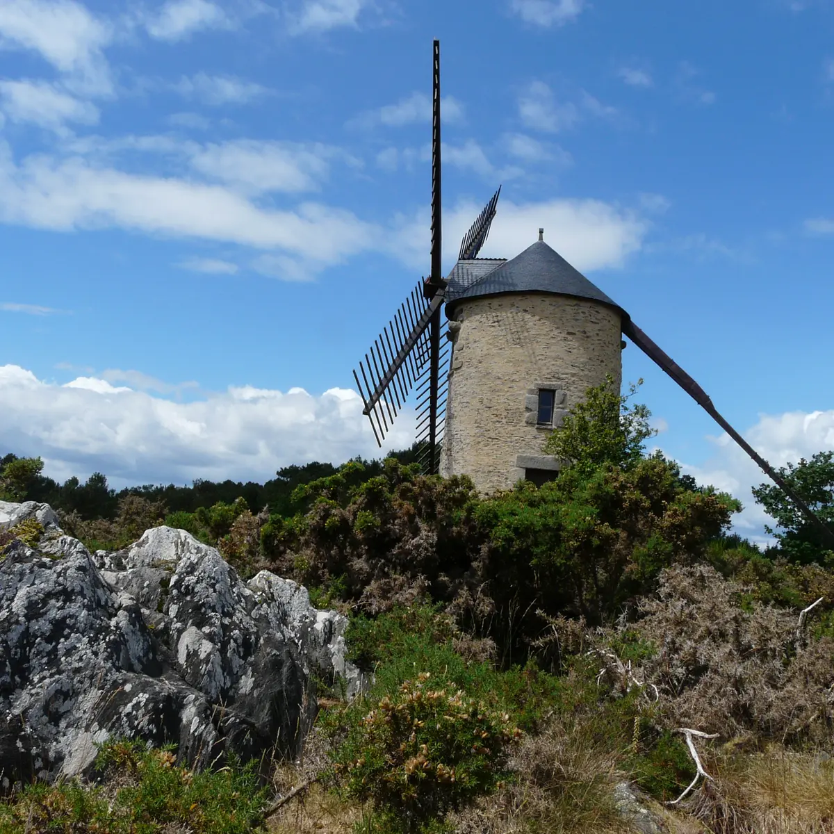 Moulin St Jacut-les-Pins- E Lemare 030