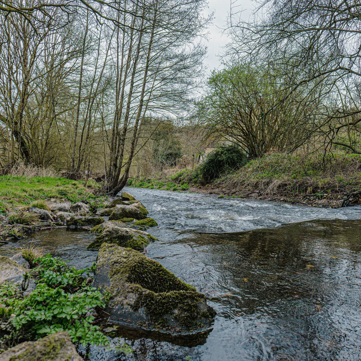 PEILLAC - PEILLAC - Moulin de Guéveneux_Peillac_Bauthamy Madoline  (2)