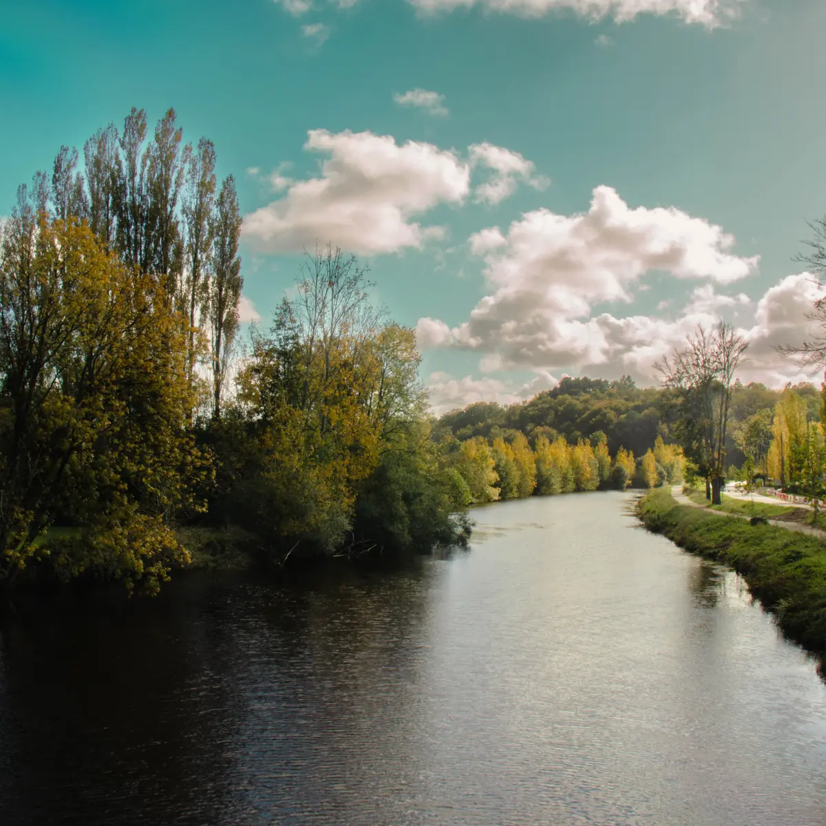 PEILLAC - bord de l'eau_Bauthamy Madoline (5)