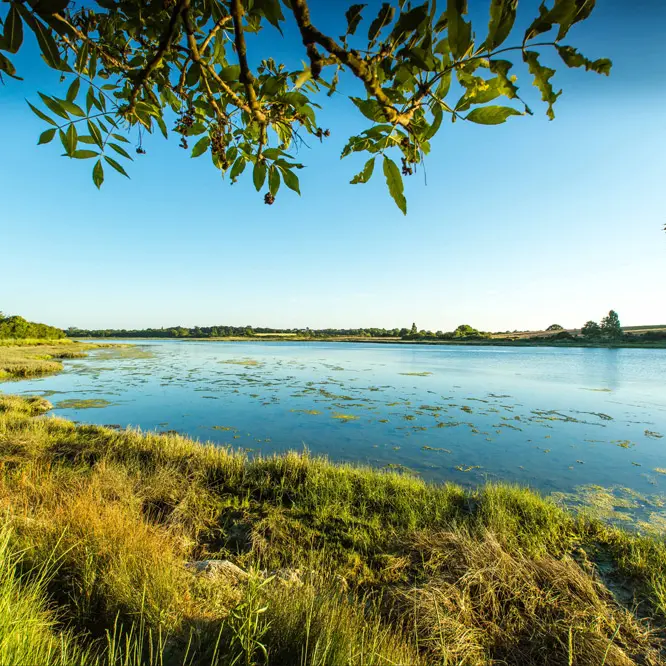 Photo-couverture_®Simon-BOURCIER---Morbihan-Tourisme