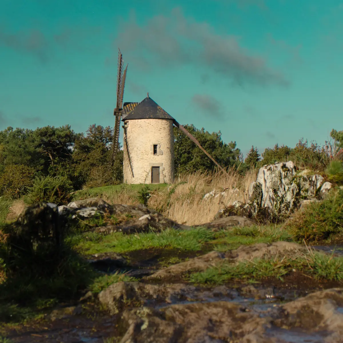 ST-JACUT-LES-PINS - La Butte Des Moulins_madoline bauthamy (55)