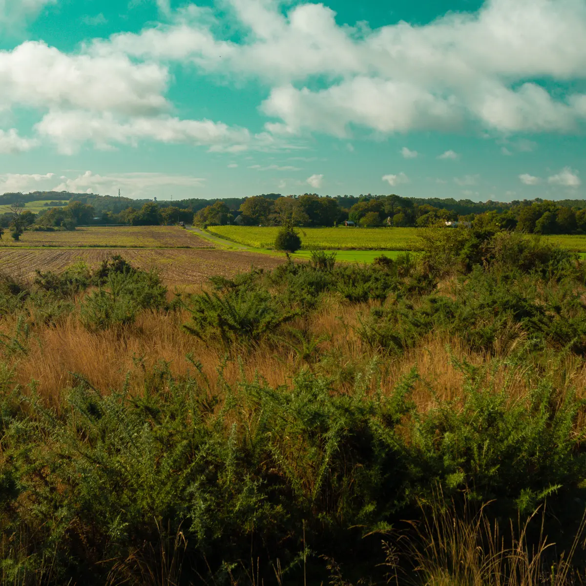 ST-JACUT-LES-PINS - La Butte Des Moulins_madoline bauthamy (59)