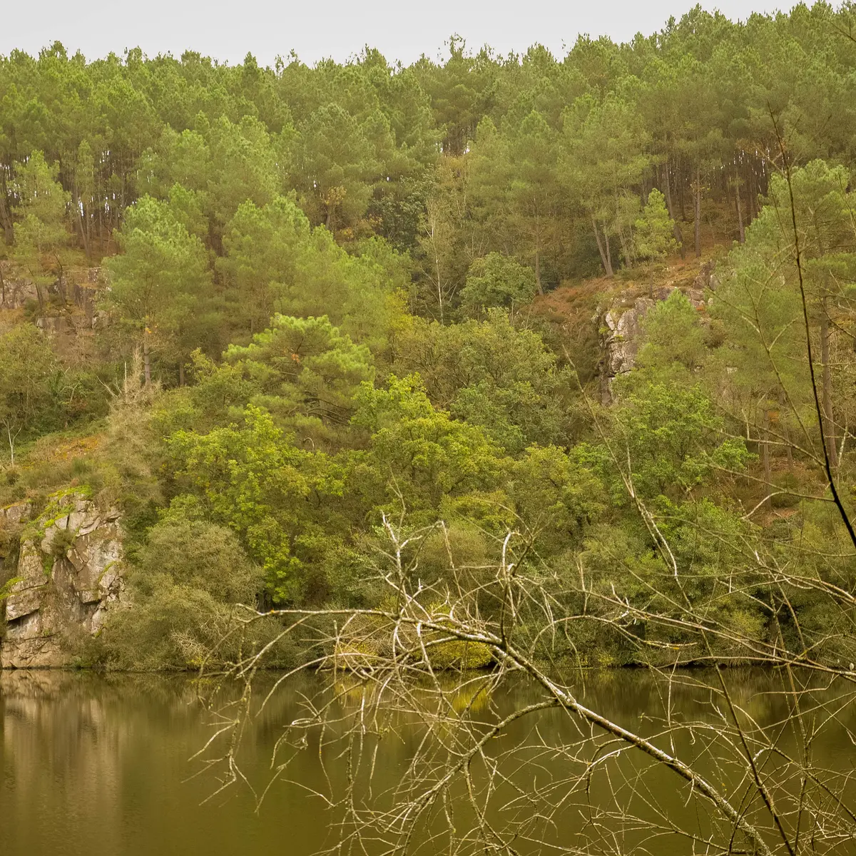 ST-VINCENT - L'Ile Aux Pies_morgane masson - 2