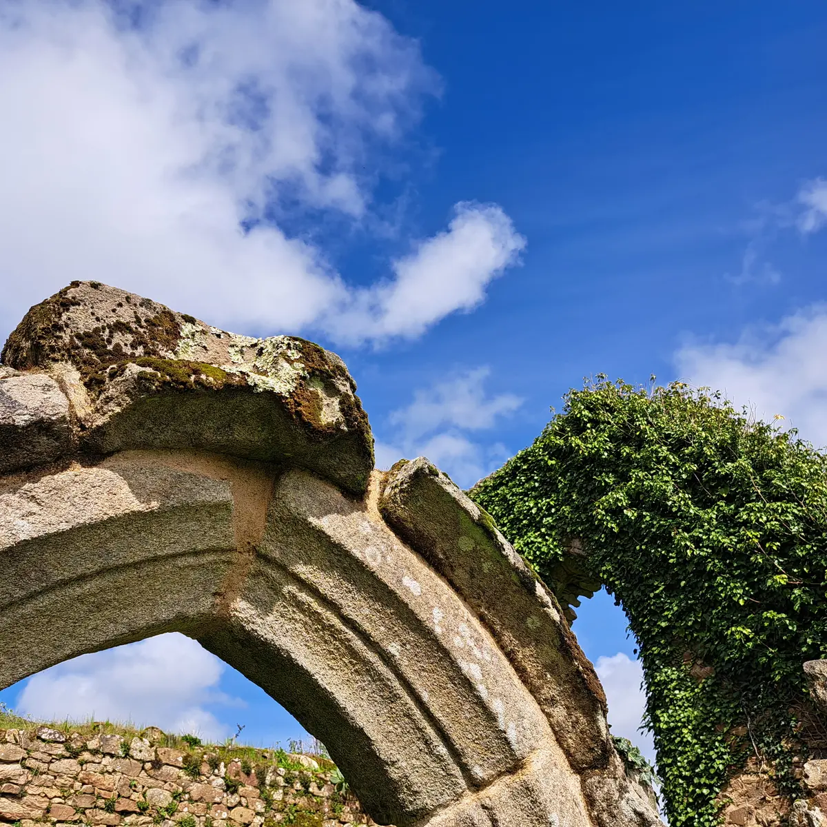 Site_des_Alliers_Béganne_2024-OTPR (5)