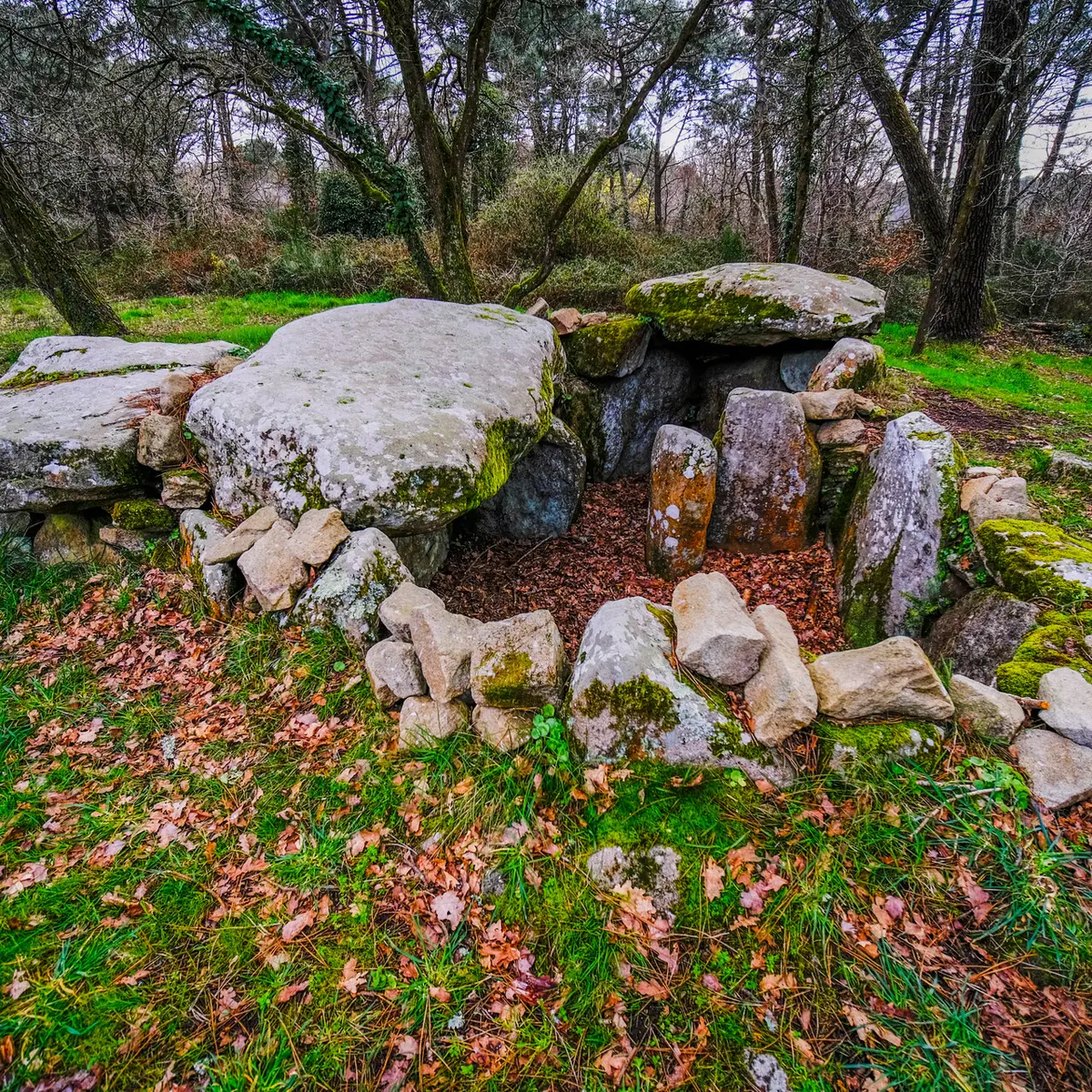 Tumulus Kermarquer - Zulaan - André Polkowski 2022 - 002.jpg_compressed