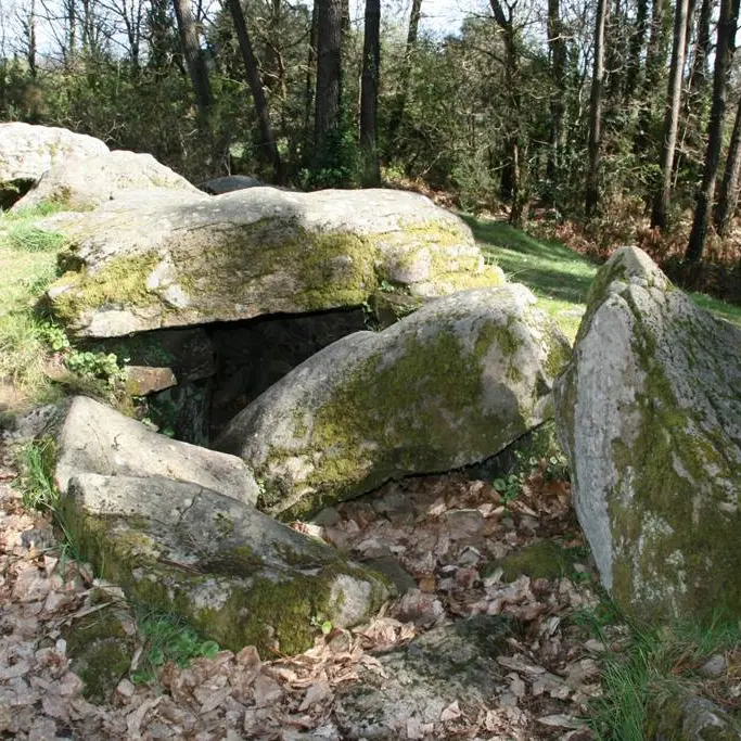Bois de Toulvern - Baden - Morbihan Bretagne sud