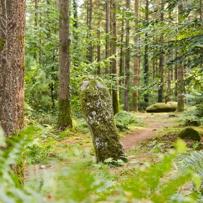 randonnée-camors-morbihan-bretagnesud