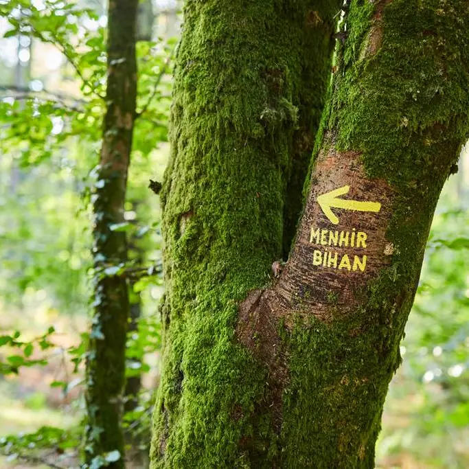 randonnée-camors-morbihan-bretagnesud