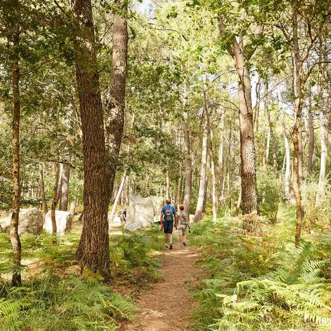 circuit-velo-erdeven-quiberon-morbihan