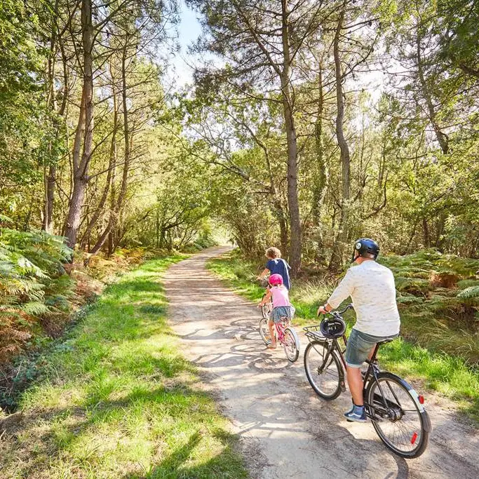circuit-velo-erdeven-quiberon-morbihan
