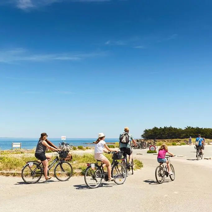 quiberon-morbihan-bretagne-sud