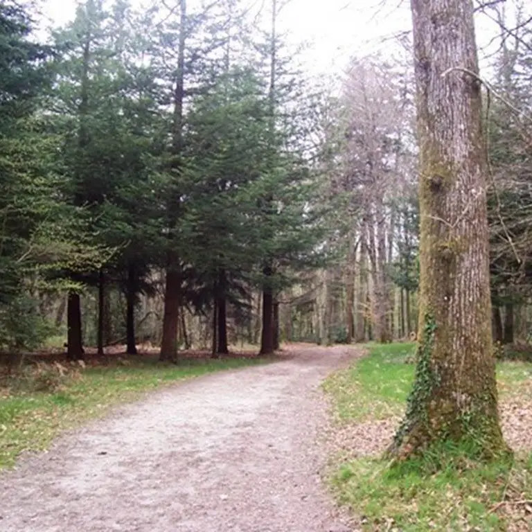 Bois de Pont Sal Plougoumelen Morbihan Bretagne Sud