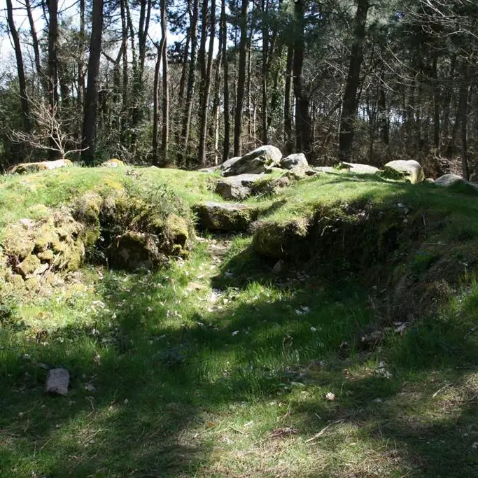 Bois de Toulvern - Baden - Morbihan Bretagne sud