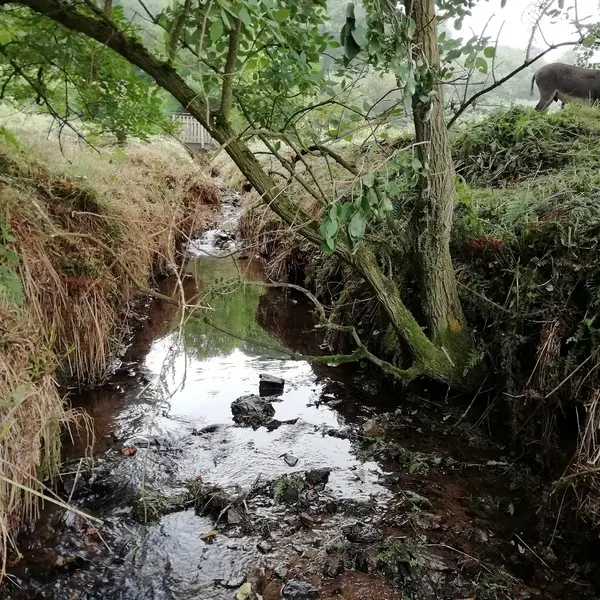 chambre-hotes-plumelin-saint-kinede (2)