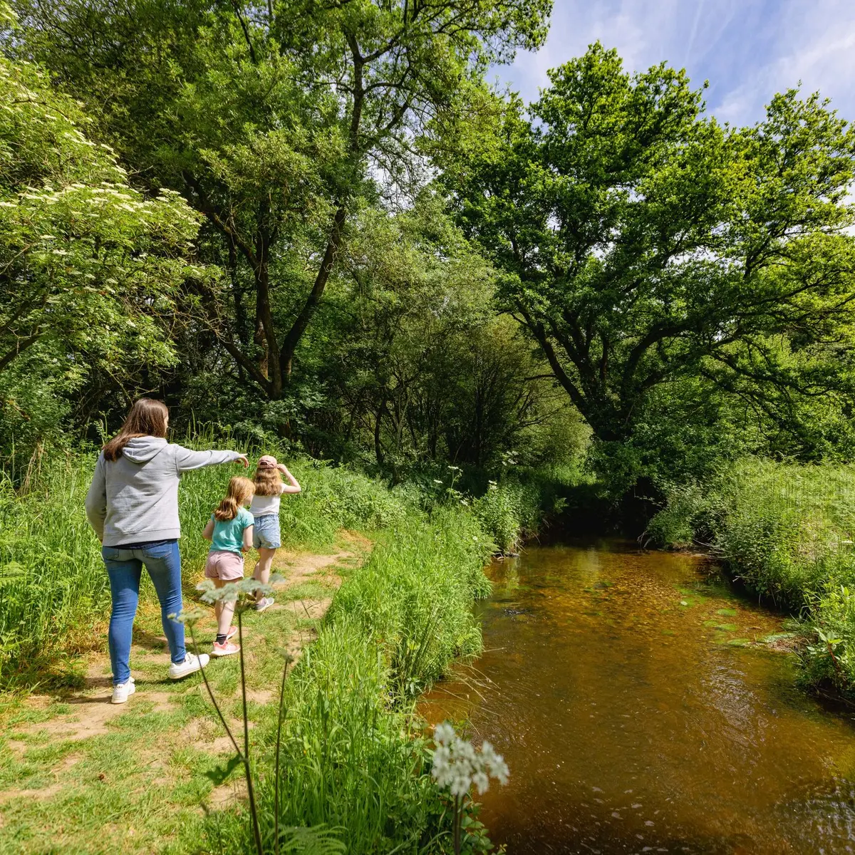 circuit-tarun-plumelin