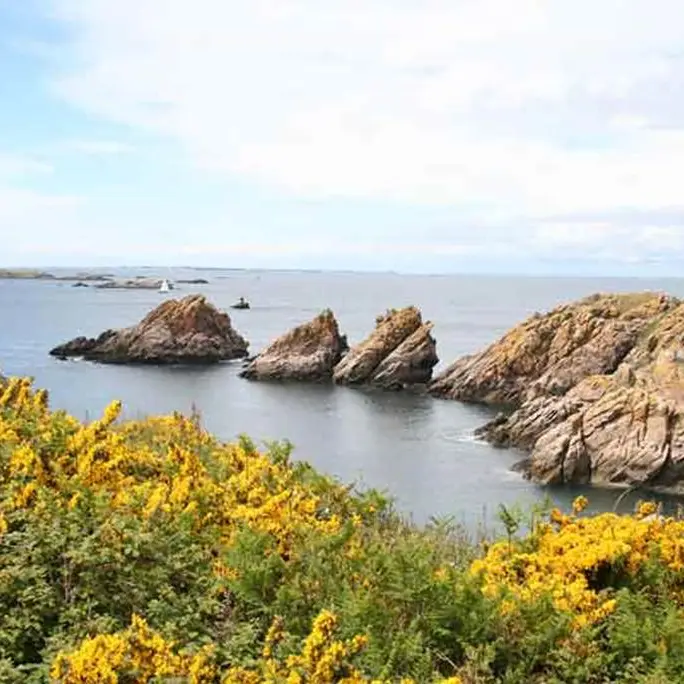houat-velos-morbihan-bretagne-sud