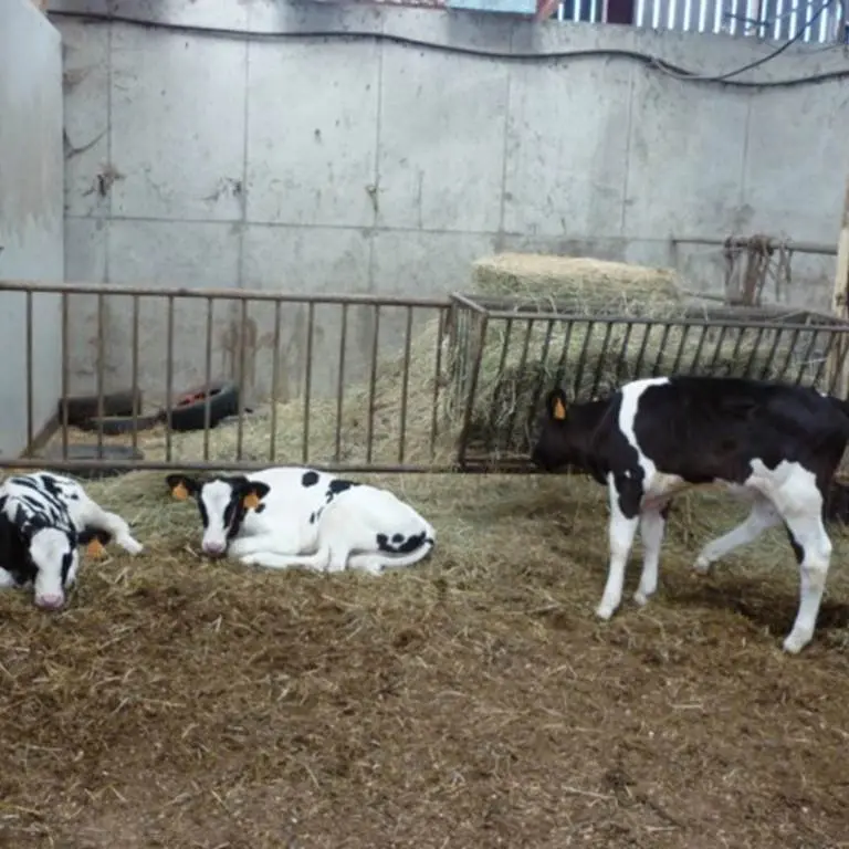 fromagerie-lechampsdetrefle-ERDEVEN-MorbihanBretagneSud