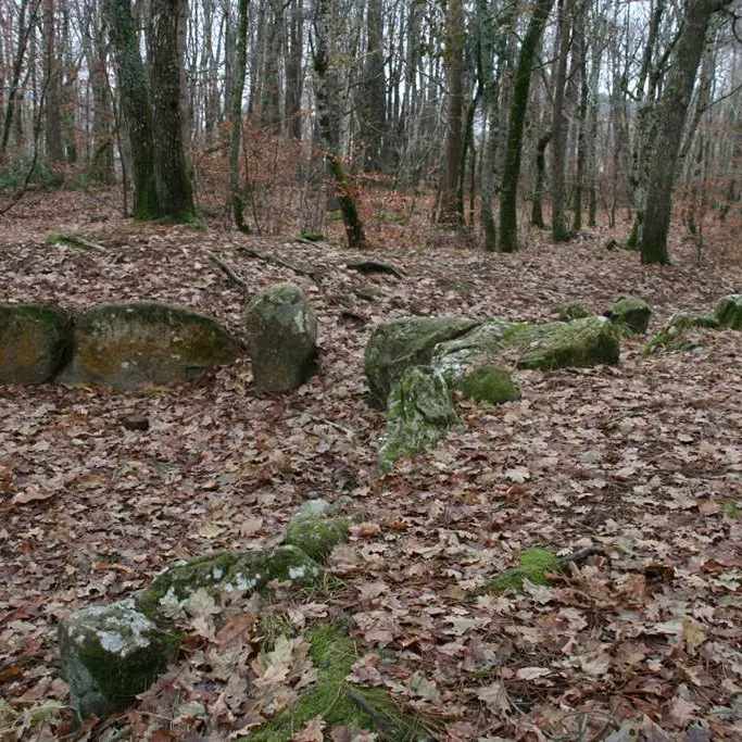 Bois de Kerzuc - Dolmen - CRACH - Morbihan Bretagne Sud